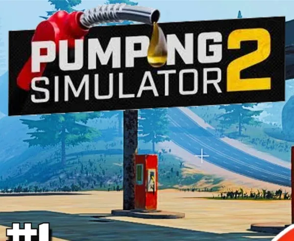 Pumping Simulator